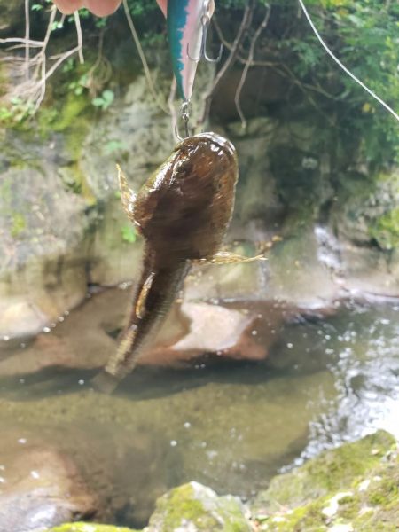 台風に期待するも全く降ってなかった