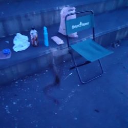 アナゴリベンジ