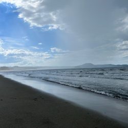 暑さに負けずキスも高活性でした