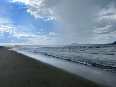 暑さに負けずキスも高活性でした