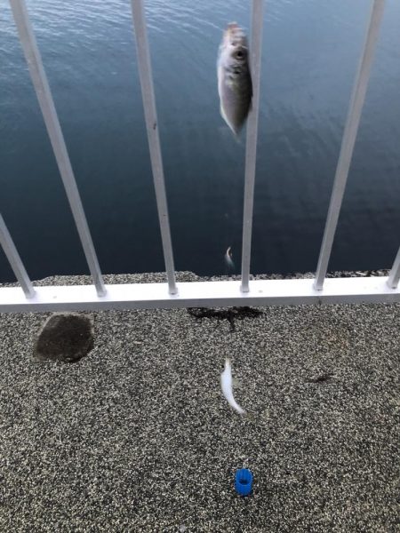 美味しいアジ南蛮が待っている♪