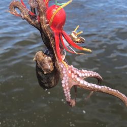 待望のキロアップ!