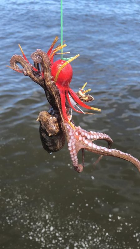 待望のキロアップ!