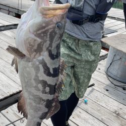 初めてのクエGET!