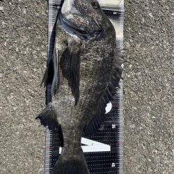 イチノ兄弟、釣果！