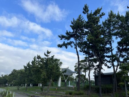 やっぱり阪神高速舞洲サバ線か！