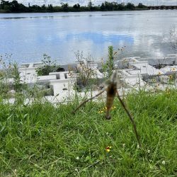 久しぶりに嫁と釣行してきました