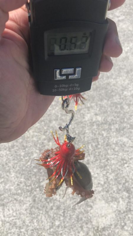 シーサイドでタコ釣り