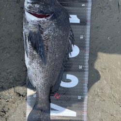 姫路65匹‼️大爆釣!