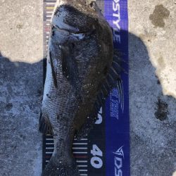 姫路大爆釣‼️