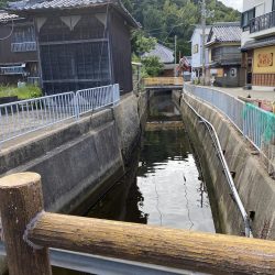 兵庫県の離島のドブ川ででまさかの60オーバーのウナギがとれた！