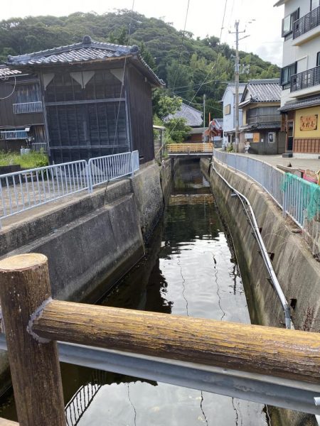 兵庫県の離島のドブ川ででまさかの60オーバーのウナギがとれた！