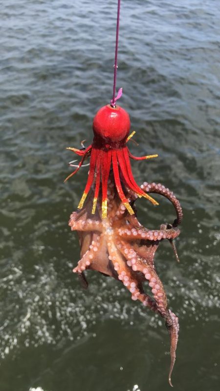 長潮のシーサイド