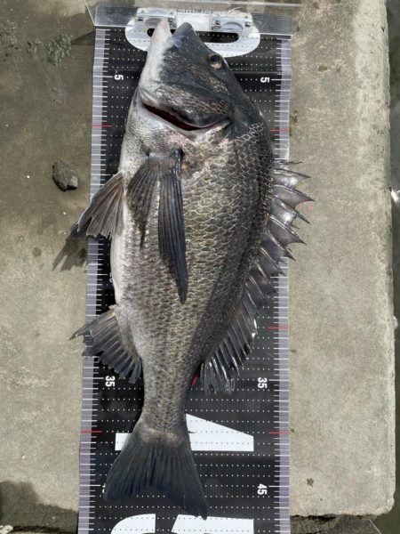 イチノ兄弟、釣果!