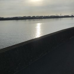 初トップウォーター^_^