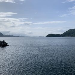 でかっ♪ガシラ