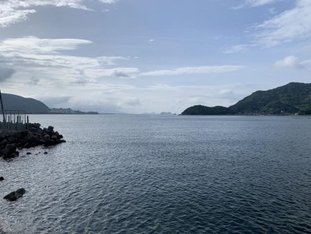 でかっ♪ガシラ