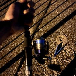 仕事終わりのアジ調査