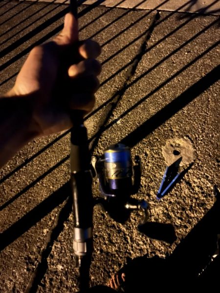 仕事終わりのアジ調査