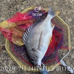 尼P オーランド大会