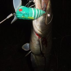 久々のポイントをランガン