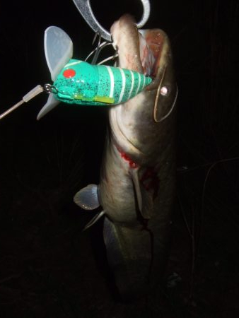 久々のポイントをランガン