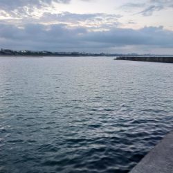 オクトパッシング