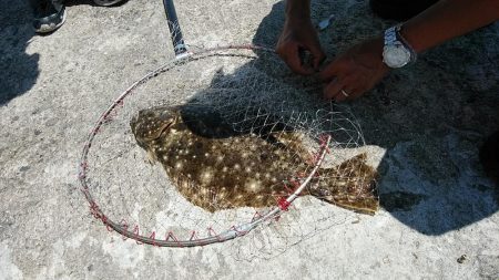 僅かな時合いを捉える事が出来ました