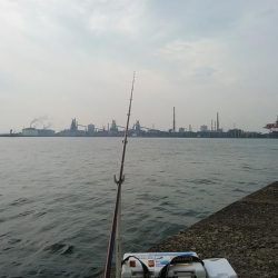 思わぬ大物が釣れました