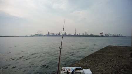 思わぬ大物が釣れました