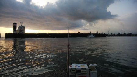 キス仕掛でタコが釣れました