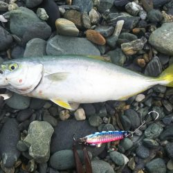 シオ時々ツバスおまけでソゲ