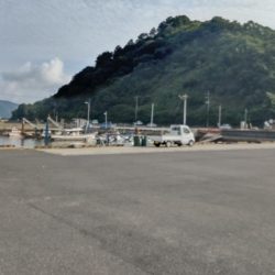 塩焼きサイズのキビレ