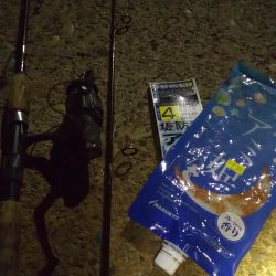 夏の夜のサビキ