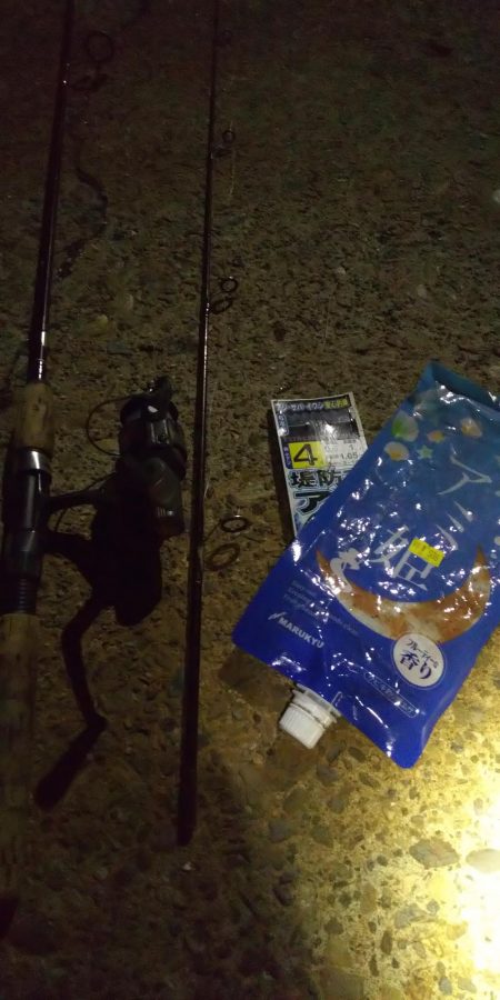 夏の夜のサビキ