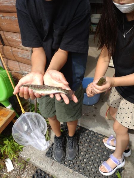 暑い中でのニジマス釣り