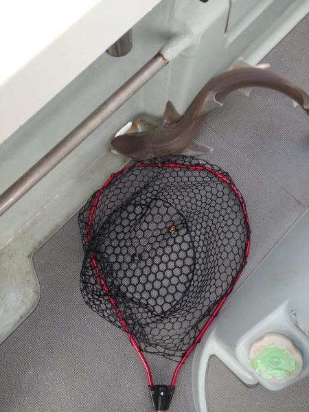 7月最後のタイラバ