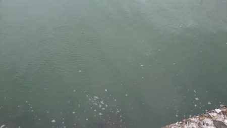 デイチニング初釣果