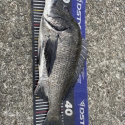 イチノ兄弟、釣果！