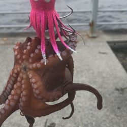 曇り空のシーサイド