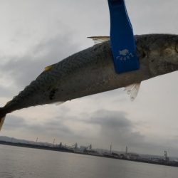 尺のオンパレード