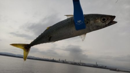 尺のオンパレード