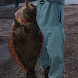 夕まずめのヒラメと夜釣りのシーバス