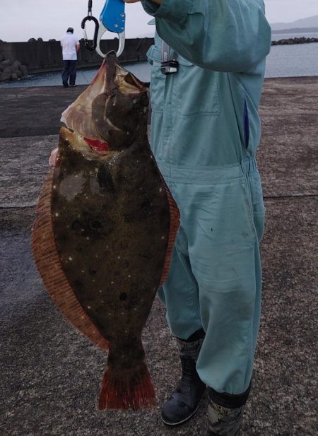 夕まずめのヒラメと夜釣りのシーバス
