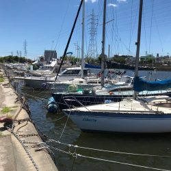 ｾｲｺﾞ釣り～夏の陣～