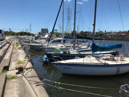 ｾｲｺﾞ釣り～夏の陣～