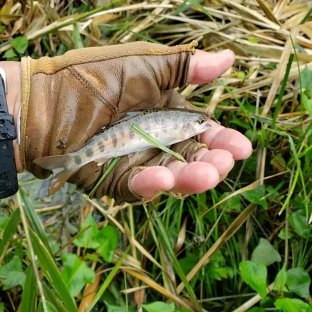 1センチ足りませんでした