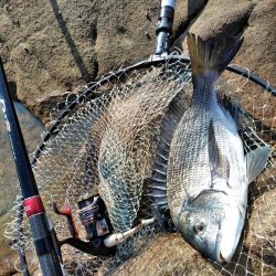 フカセ‥最高ですネ・・