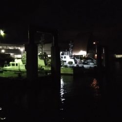 タコジグ　ツ抜け