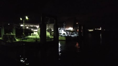 タコジグ　ツ抜け